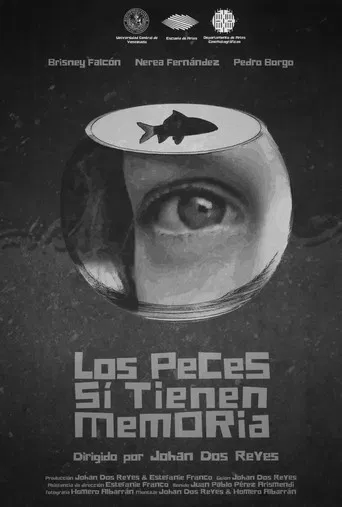 Los peces sí tienen memoria poster