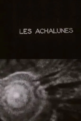 The Achalunés poster