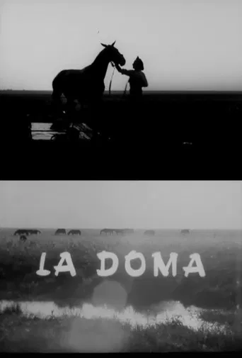 La doma poster