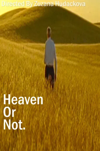 Heaven Or Not poster