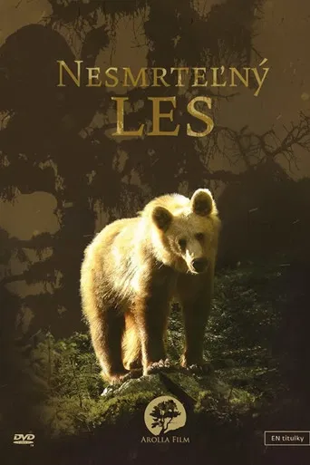 Secrets of the Carpathians: The Immortal Forest poster