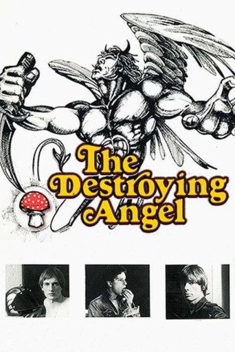 The Destroying Angel poster