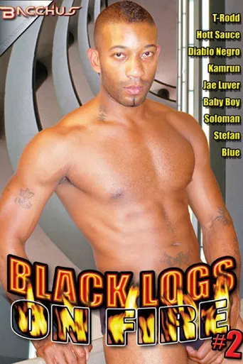 Black Logs on Fire 2 poster