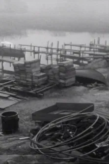 Transform Sweden poster