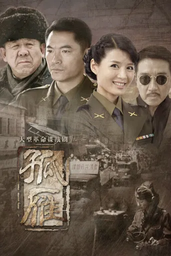 孤雁 poster