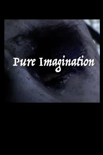 Pure Imagination poster