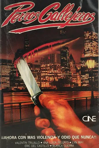 Perro callejero poster