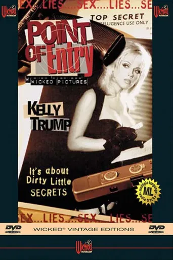 Point of Entry poster