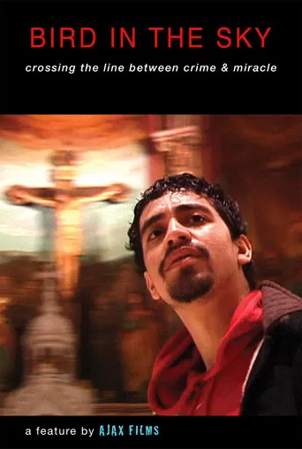 BIRD IN THE SKY poster