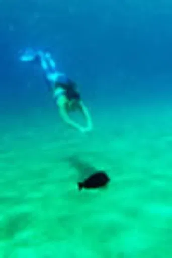 DER SCHWIMMER UND DIE MEERJUNGFRAU poster