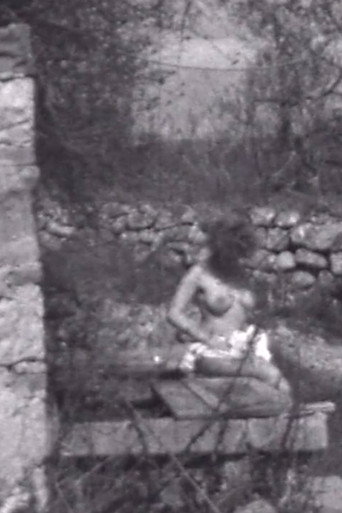 Trascorrere con Laura poster