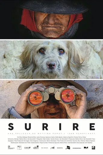 Surire poster