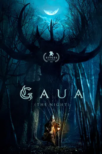 Gaua (The Night) poster