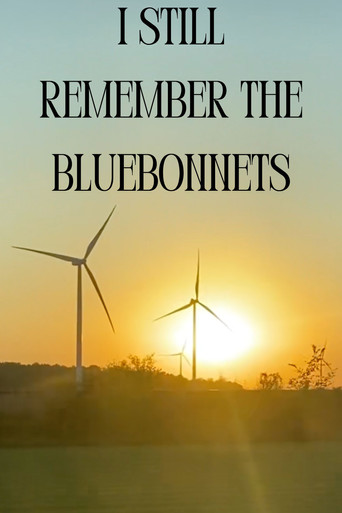 I Still Remember The Bluebonnets poster