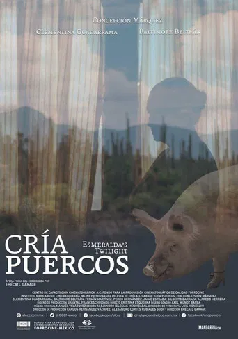 Esmeralda’s Twilight poster