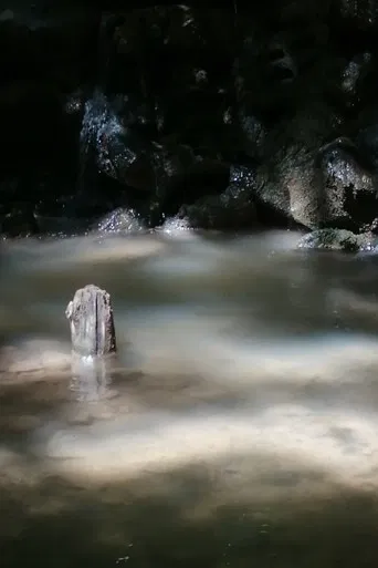 The Aqueduct of Seyssuel poster