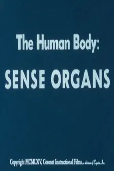 The Human Body: Sense Organs poster