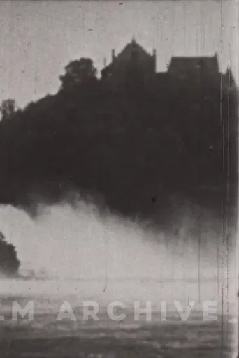 The Little Swiss Woodcarver poster