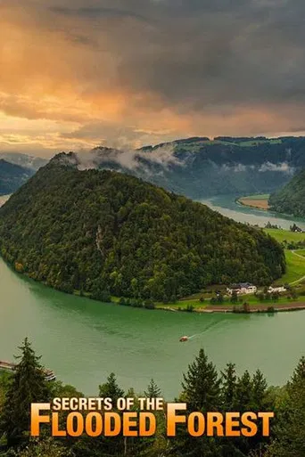 Secrets of the Flooded Forest - Danube National Park poster