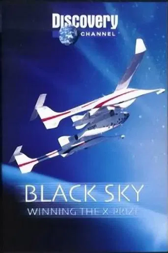Black Sky poster