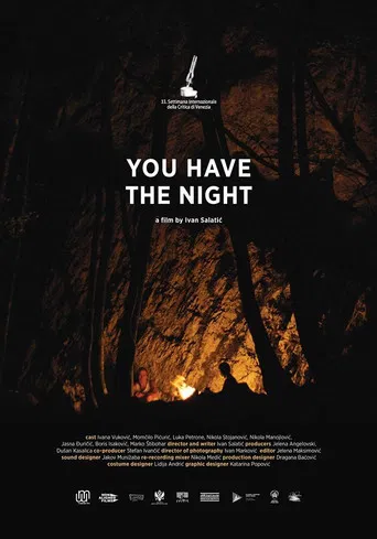You Have the Night poster