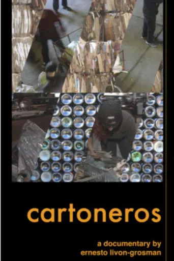 Cartoneros poster