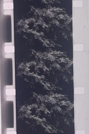 Plotting the Grey Scale: 2 or 3 Quick Traverses poster