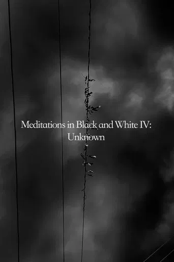 Meditations in Black and White IV: Unknown poster