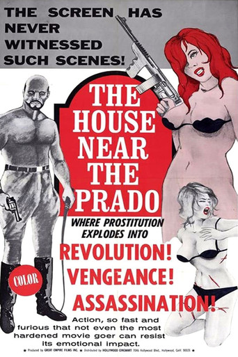 The House Near the Prado poster