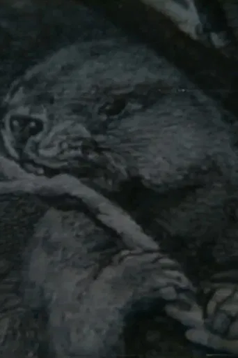 Beaver Report poster