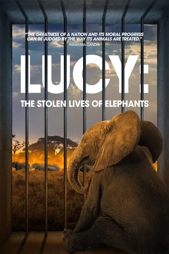 Lucy: The Stolen Lives of Elephants poster