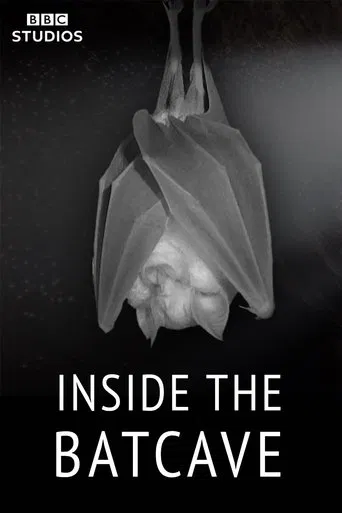 Inside the Bat Cave poster