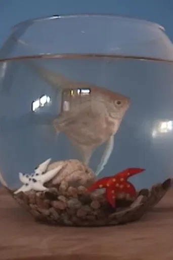 El gabinete del doctor mojado - Piloto CNTV poster