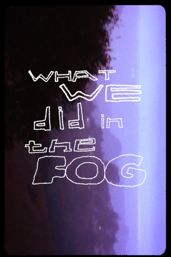 what we did in the fog poster