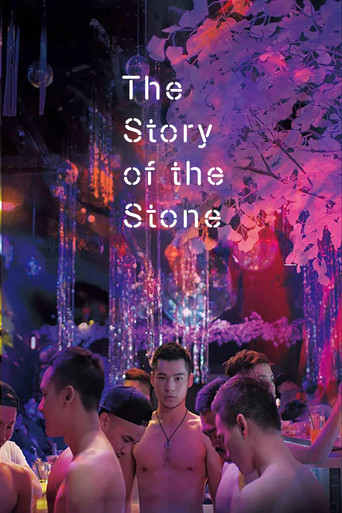 The Story of the Stone poster