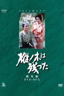 Mominoki wa Nokotta poster