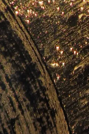 meditaciones en una emergencia poster