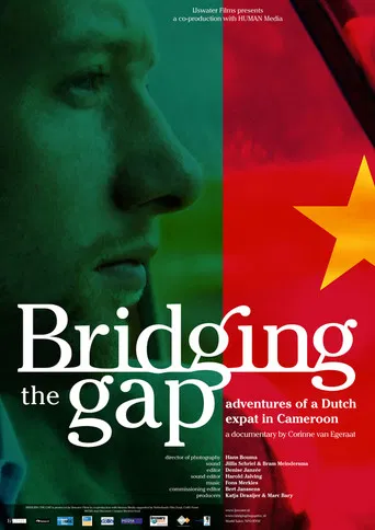 Bridging the Gap poster