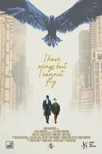 I Have Wings But I Cannot Fly poster