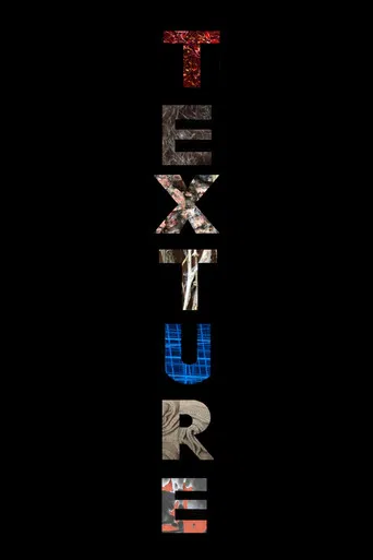 TEXTURE poster