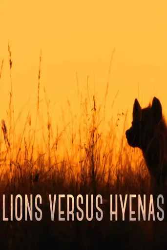 Lions versus Hyenas poster