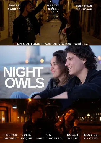 Night Owls poster