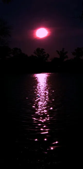 Uma Carta Alienígena poster