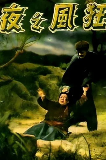 The Stormy Night poster