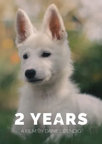 2 Years poster