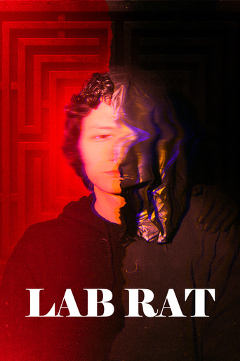 Lab Rat poster