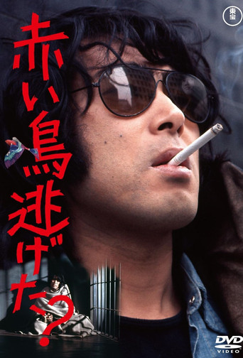 Did the Red Bird Escape? poster