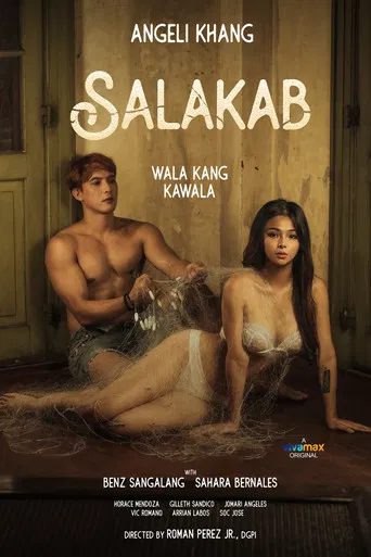 Salakab poster