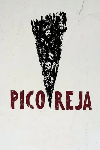 Pico Reja: The Truth Buried Beneath poster