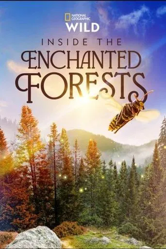 Inside the Enchanted Forests poster